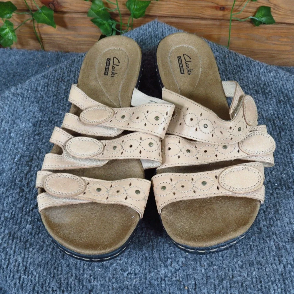 Clarks leisa cacti